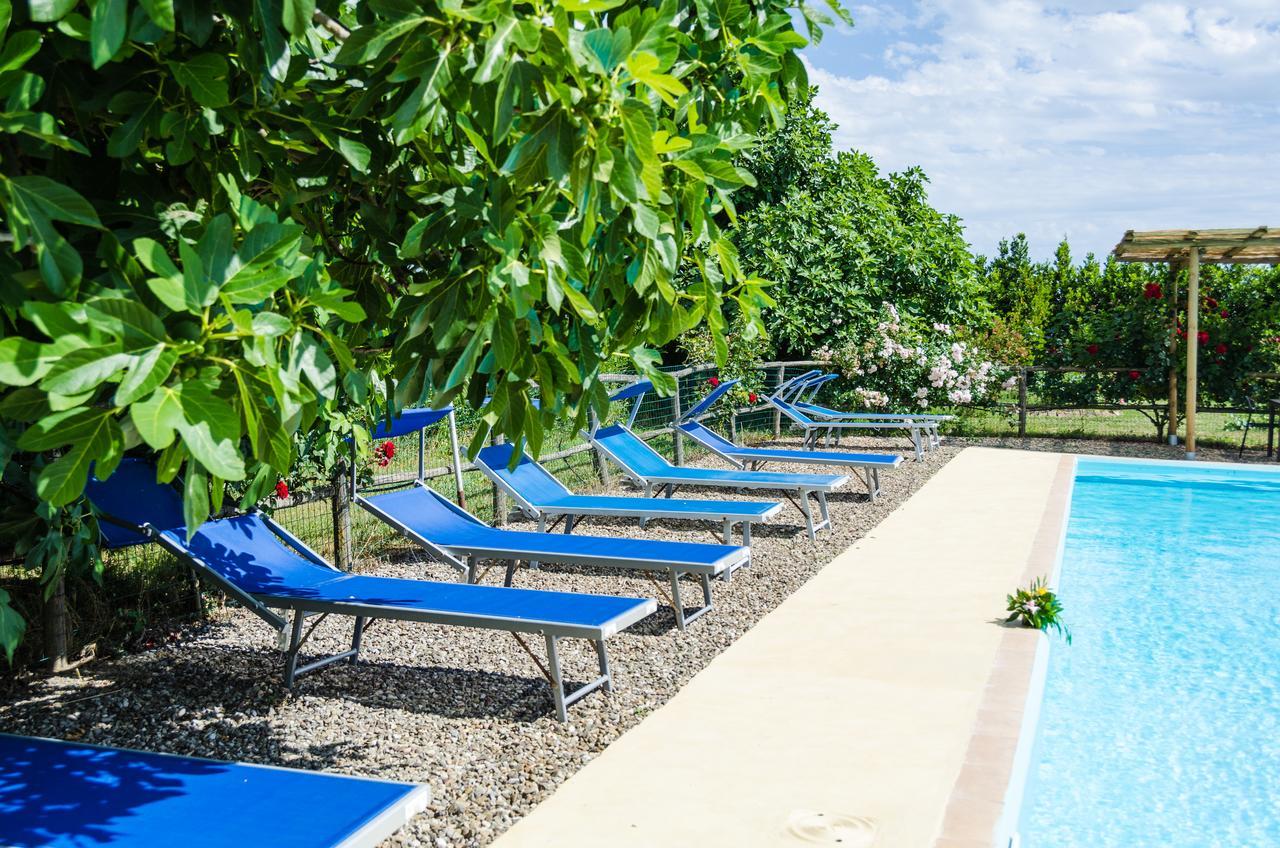 Agriturismo Il Roseto Marina di Grosseto Exteriér fotografie